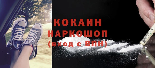 индика Ростов