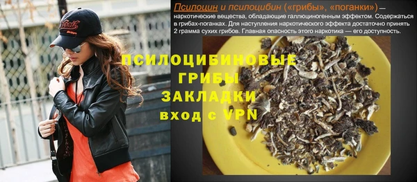стаф Алексеевка