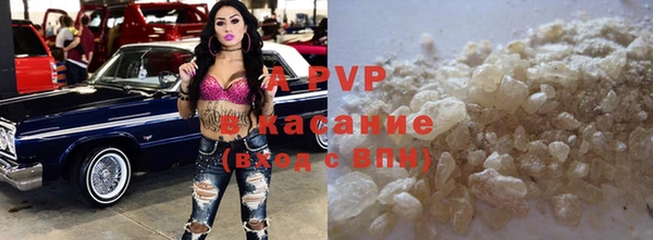 индика Ростов