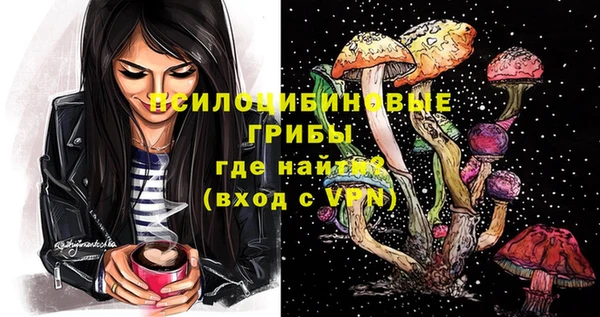 ПСИЛОЦИБИНОВЫЕ ГРИБЫ Алзамай